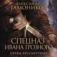 Отряд бессмертных - Тамоников Александр - Hörbuch