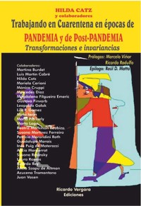 Trabajando en cuarentena en épocas de pandemia y de post pandemias - Hilda Catz - E-Book