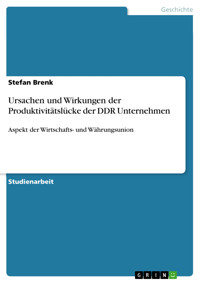 Ursachen und Wirkungen der Produktivitätslücke der DDR Unternehmen - Stefan Brenk - E-Book