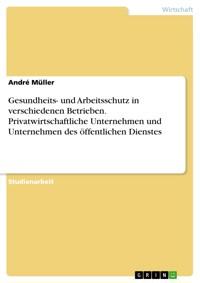 Gesundheits- und Arbeitsschutz in verschiedenen Betrieben. Privatwirtschaftliche Unternehmen und Unternehmen des öffentlichen Dienstes - André Müller - E-Book