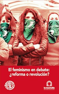 El feminismo en debate ¿reforma o revolución? - Celeste Fierro - E-Book