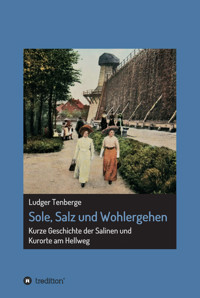 Sole, Salz und Wohlergehen - Ludger Tenberge - E-Book