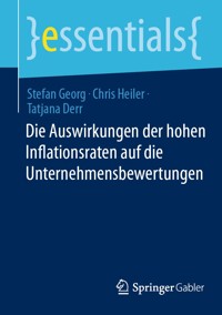 Die Auswirkungen der hohen Inflationsraten auf die Unternehmensbewertungen - STEFAN GEORG - E-Book