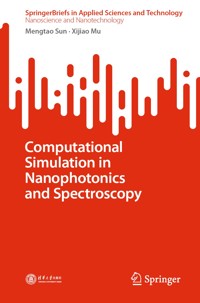 Computational Simulation in Nanophotonics and Spectroscopy - Mengtao Sun - E-Book