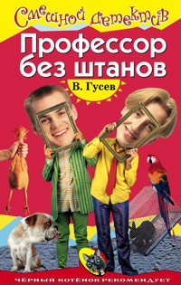 Профессор без штанов - Валерий Гусев - E-Book