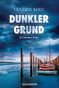 Dunkler Grund - Hendrik Berg - E-Book