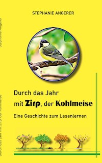 Durch das Jahr mit Zirp, der Kohlmeise - Stephanie Angerer - E-Book