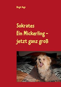 Sokrates  Ein Mickerling - jetzt ganz groß - Birgit Vogt - E-Book
