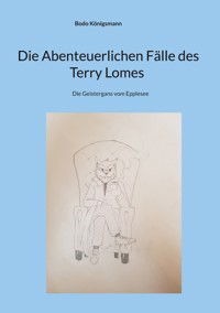 Die Abenteuerlichen Fälle des Terry Lomes - Bodo Königsmann - E-Book