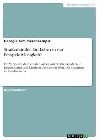 Straßenkinder. Ein Leben in der Perspektivlosigkeit? - Georgie Kim Pierenkemper - E-Book