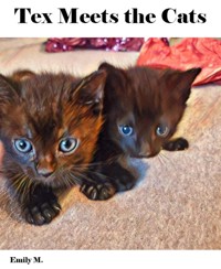 Big Tex & Friends: Tex Meets the Cats - Emily M. - E-Book