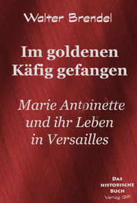 Im goldenen Käfig - Walter Brendel - E-Book