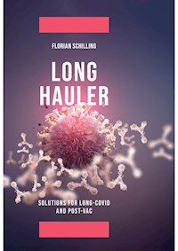 Long-Hauler - Florian Schilling - E-Book