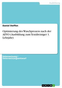 Optimierung des Waschprozess nach der AEVO (Ausbildung zum Textilreiniger 1. Lehrjahr) - Daniel Steffen - E-Book
