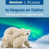 Abenteuer & Wissen, Im Königreich der Eisbären - Forschung nach dem Beginn des Lebens - Maja Nielsen - Hörbuch