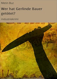 Wer hat Gerlinde Bauer getötet? - Metin Buz - E-Book