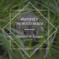 Whitefoot the Wood Mouse - Thornton W. Burgess - Hörbuch