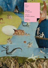 Muerte de Narciso - José Lezama Lima - E-Book
