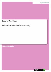 Die chemische Verwitterung - Sascha Woditsch - E-Book