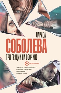 Три грации на обочине - Лариса Соболева - E-Book