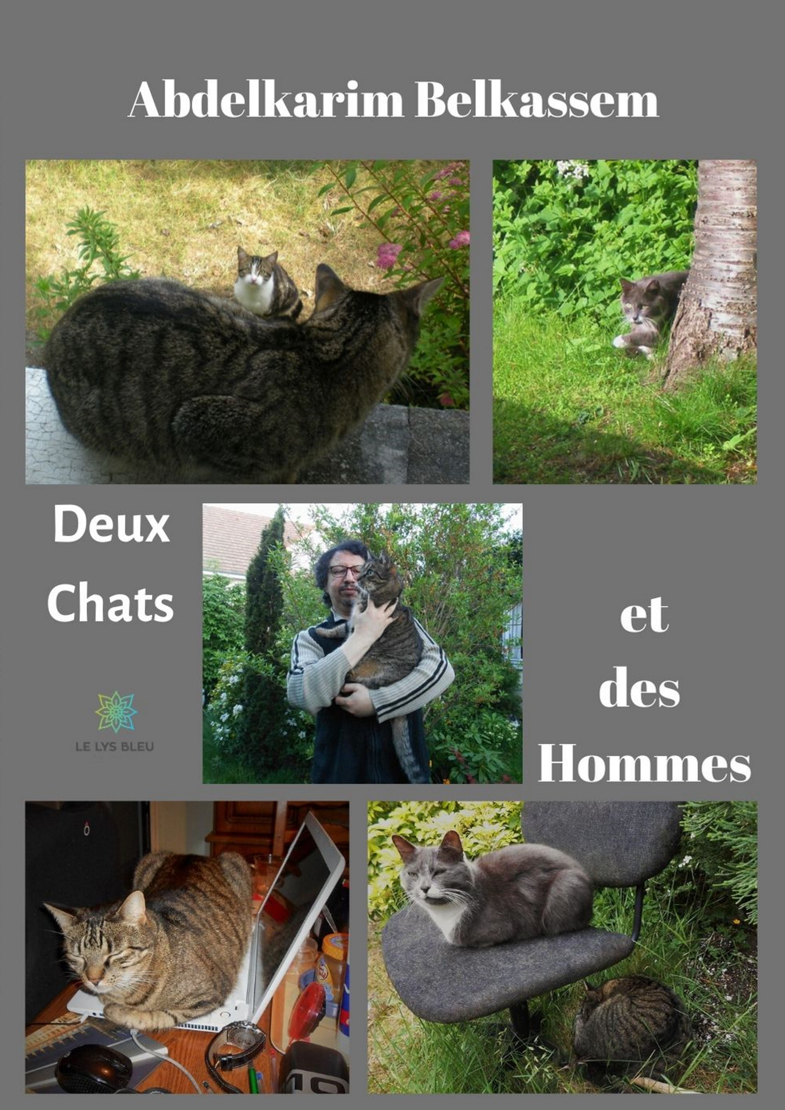 Des Chats et des Hommes - Abdelkarim Belkassem - E-Book