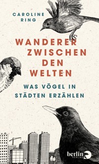 Wanderer zwischen den Welten - Caroline Ring - E-Book