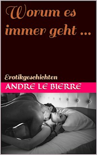 Worum es immer geht ... - Andre Le Bierre - E-Book