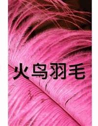 火鸟羽毛 - Kirk Munroe - E-Book