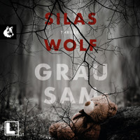 Grausam - Ein Fall für Jonas Starck, Band 4 (ungekürzt) - Silas Wolf - Hörbuch