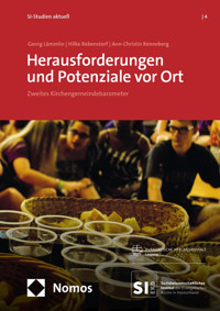 Herausforderungen und Potenziale vor Ort - Georg Lämmlin - kostenlos E-Book