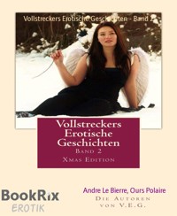Vollstreckers Erotische Geschichten - Band 2 - Andre Le Bierre - E-Book