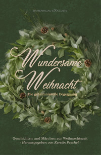 Wundersame Weihnacht – Die geheimnisvolle Begegnung: Geschichten und Märchen zur Weihnachtszeit - Hans-Jürgen Raben - E-Book