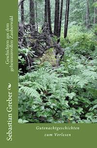 Geschichten aus dem geheimnisvollen Zauberwald - Sebastian Greber - E-Book