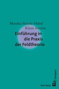 Einführung in die Praxis der Feldtheorie - Monika Stützle-Hebel - E-Book