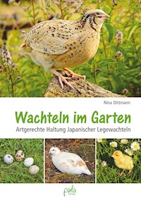Wachteln im Garten - Nina Dittmann - E-Book