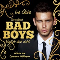 Bad Boys - Verlieb dich nicht - Ina Glahe - Hörbuch