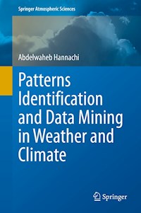 Patterns Identification and Data Mining in Weather and Climate - Abdelwaheb Hannachi - E-Book