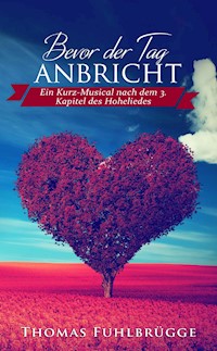 Bevor der Tag anbricht - Thomas Fuhlbrügge - E-Book