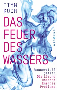 Das Feuer des Wassers - Timm Koch - E-Book