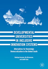 Developmental Universities in Inclusive Innovation Systems - Rodrigo Arocena - E-Book