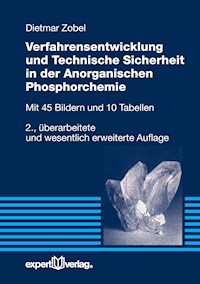 Verfahrensentwicklung und Technische Sicherheit in der Anorganischen Phosphorchemie - Dietmar Zobel - E-Book