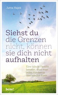 Siehst du die Grenzen nicht, können sie dich nicht aufhalten - Jutta Hajek - E-Book