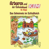 13: Das Geheimnis im Schloßteich - Fritz Hellmann - Hörbuch