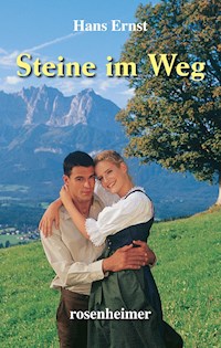Steine im Weg - Hans Ernst - E-Book