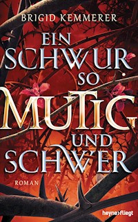 Ein Schwur so mutig und schwer - Brigid Kemmerer - E-Book