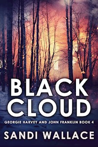 Black Cloud - Sandi Wallace - E-Book
