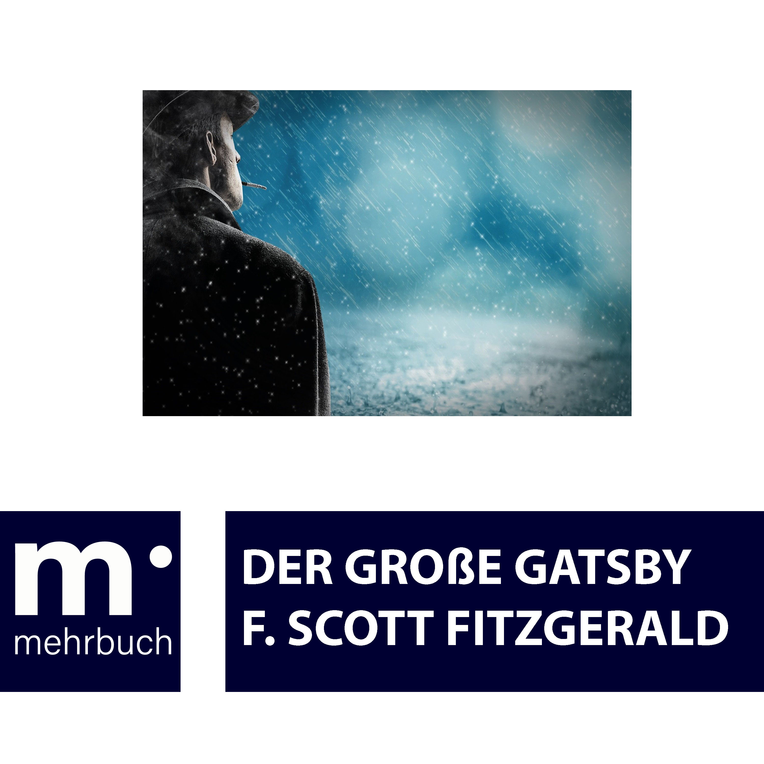Der große Gatsby - F.Scott Fitzgerald - E-Book