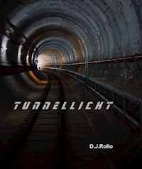 Tunnellicht - D.J. Rollo - E-Book