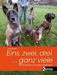 Eins, zwei, drei ... ganz viele - Anne Rosengrün - E-Book