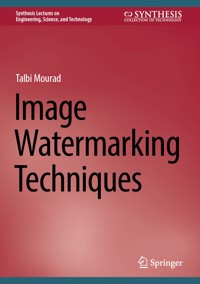 Image Watermarking Techniques - Talbi Mourad - E-Book